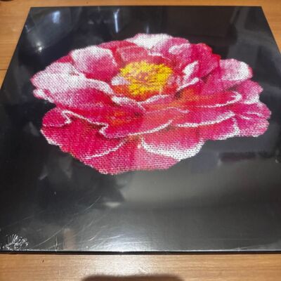 Post Malone Tribute to Nirvana RSD 2025 Yellow Vinyl LP