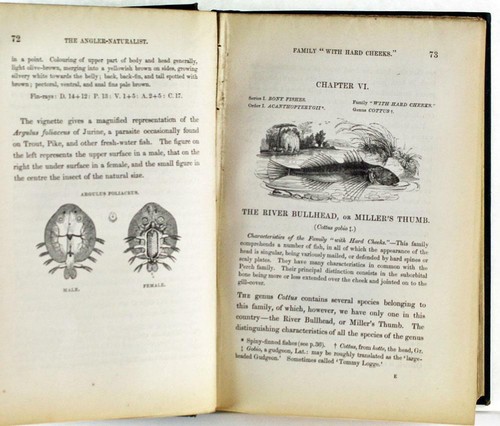 The Angler Naturalist by H. Cholmondeley-Pennell 1863 George Routledge Hardcover - Picture 5 of 6