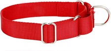 Martingale Dog Collar, Heavyduty Nylon Dog Collar, Red, Large