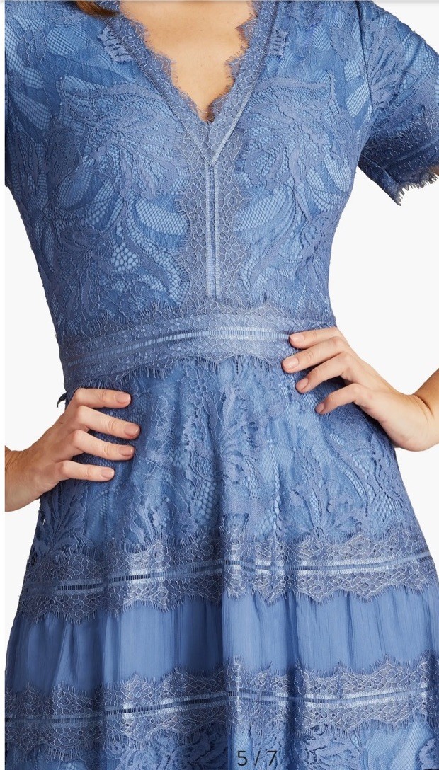 chinese dress ladies Tadashi Shoji Jasi Embroidered Illusion Gown main image 1