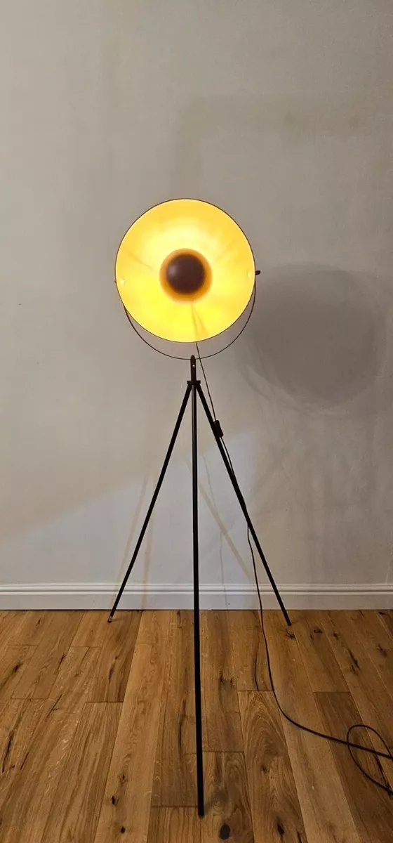 Cinema tripod 2024 floor lamp