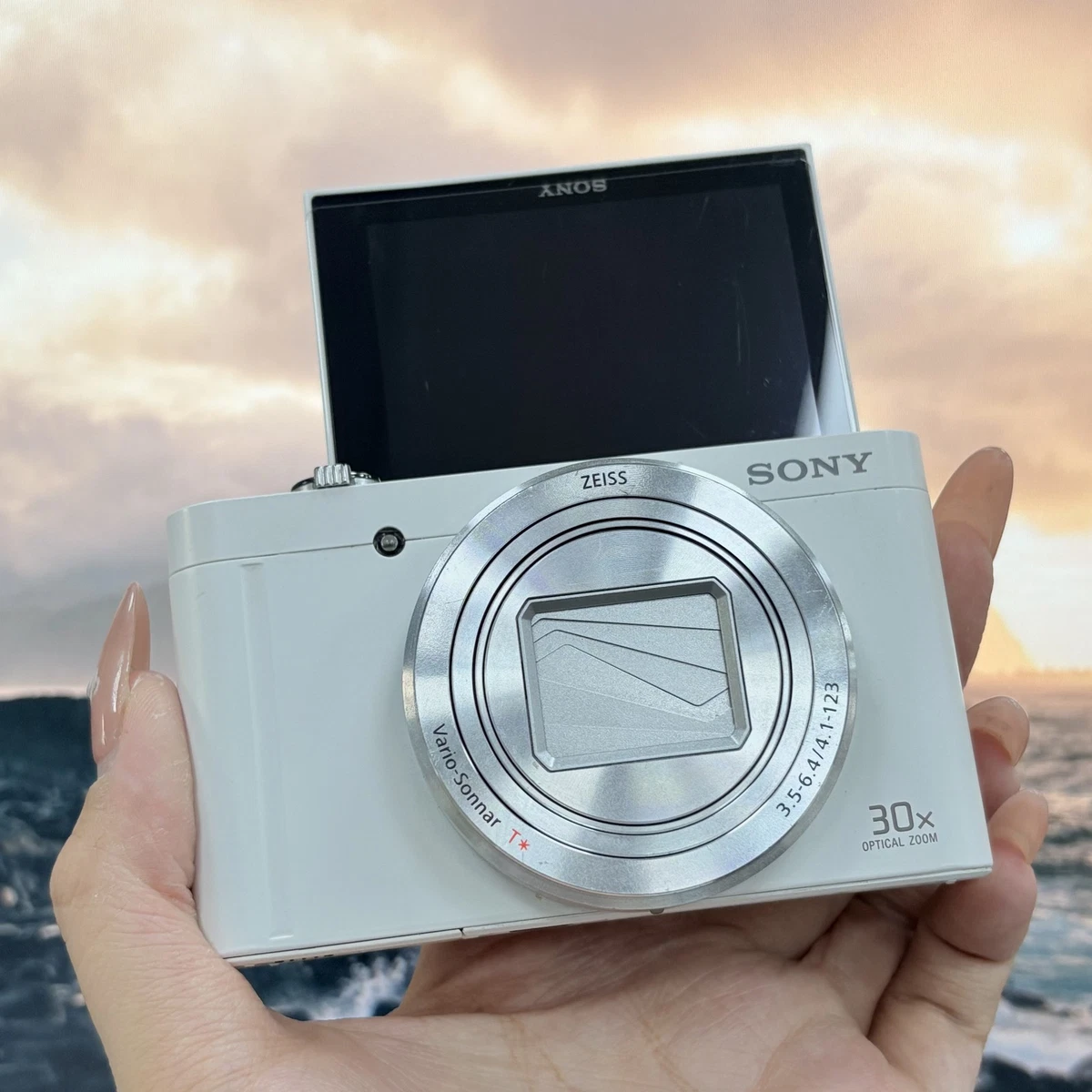 Sony Cyber-shot DSC-WX500 Compact Digital Cameras for Sale | Shop
