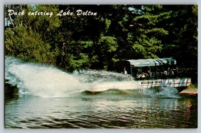 Postcard - Duck Entering Lake Delton, Wisconsin Dells