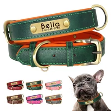 Soft Leather Padded Dog Collar Personalized Custom Pet Name Tag Engraved XS-XL