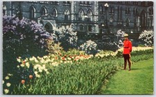 Postcard - Tulips Bed in front of Parliament Buildings - Ottawa, Canada