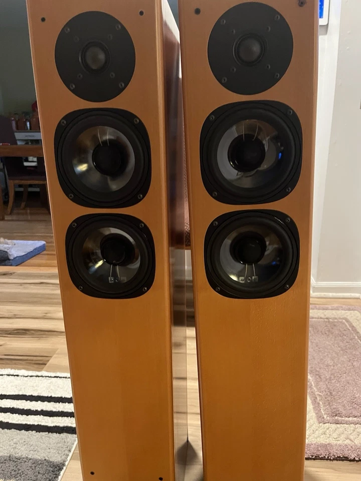 Viesnna Acoustic Floor Standing Speakers for Home - Image 2 of 4