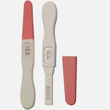 NEW 2 Pack Brand New Fake Positive Test Prank Funny Toy Fun Toy Test Pen