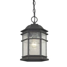 Dolan Designs Barlow Outdoor Hanging Winchester - 9232-68