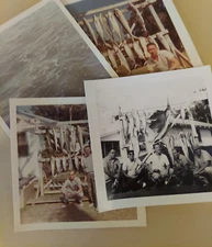Lot Vintage Photo Boys Fishing trip Stringer of Fish 1959 color  B&W Snapshot 