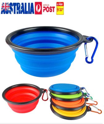 chinchilla vegetables