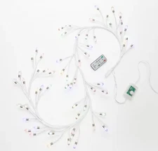 Bethlehem Lights 5' Twig Garland with Color Changing C7 LEDs H228961  EW-C  B-2