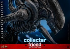 NEW Hot Toys MMS784 Alien: Romulus Scorched Xenomorph 1/6 Figure NEW