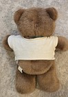 vintage 80's Beary Baby Guess Layette Balloon Club Bear Plush Stuffed Animal 12" — photo 3