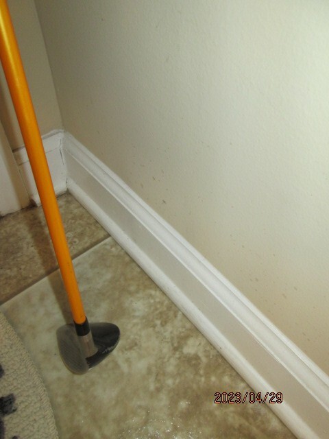Picture 4 of 9