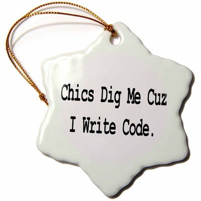 3dRose Chics Dig Me Cuz I Write Code Programmer Coder Computer Geek Humor Design