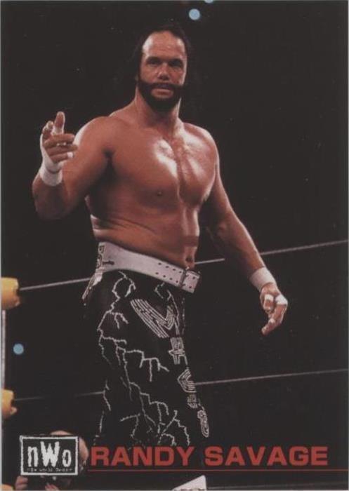 1998 Bandai New Japan Pro Wrestling - Randy Savage #87 - 1 of 1