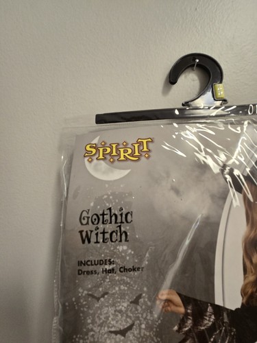 Gothic Witch Halloween Costume - Picture 3 of 13