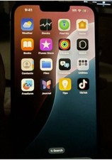 iPhone With TikTok Installed