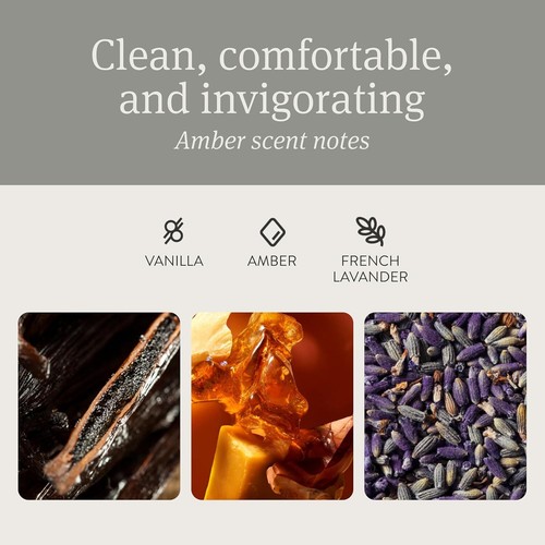 Car Air And Stone Air Freshener , Car Odor Eliminator , Amber Scent Starter Kit - Picture 3 of 6