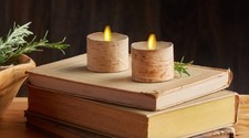 NWT Luminara Pottery Barn Real Birch Wrapped ...