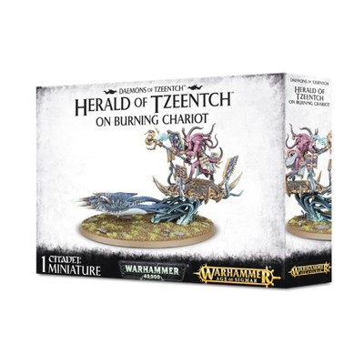 GW Age of Sigmar Tzeentch Herald of Tzeentch on Burning Chariot SW (VG/New)