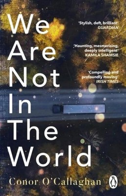 We Are Not in the World Conor O'Callaghan