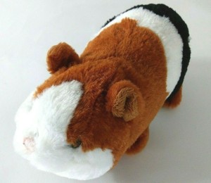 webkinz guinea pig