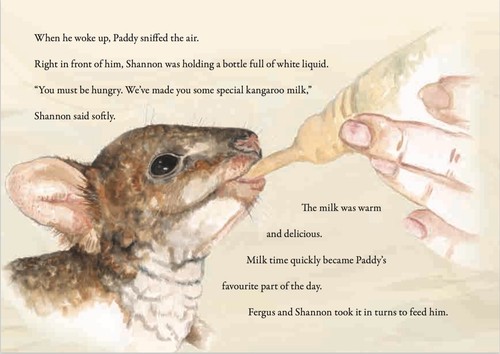 Paddy O'Melon The Irish Kangaroo - Picture 4 of 6