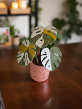 Monstera Coaster Set with 6 Magnetic Leaf Coasters, Modern Houseplant decor