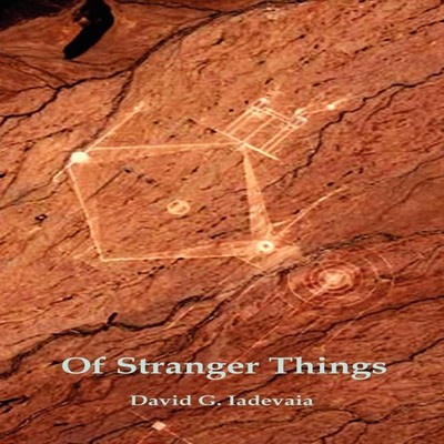 Of Stranger Things David G. Iadevaia Paperback Author Solutions I