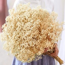 6000 Baby's Breath Flowers 17" Ivory Gypsophila for Wedding DIY Table Decor
