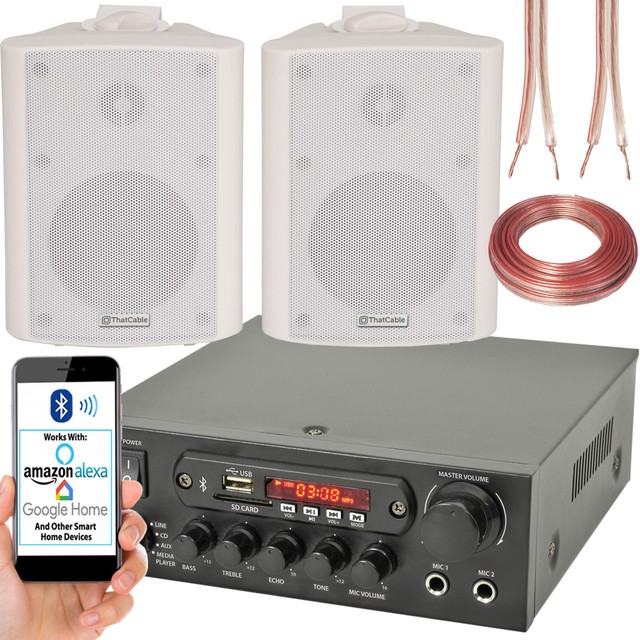 google home pa system