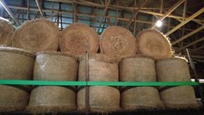 Pure Alfalfa Round Bales RFV 100-170 - Quantity 23 -- 4.5x5 ft Bales; /-700 lbs