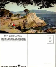 Monterey CA Seventeen Mile Drive Postcard Unused (42014)