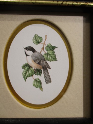 Birds Kirkland's 8 Eight A Kathy Seek Small Framed Set Sz 4" x 4"x 3/8" - Picture 2 of 17