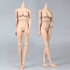 1/6 Pale/Suntan Skin Female Body Huge Bust Super Flexible 12''Action Figure Toy