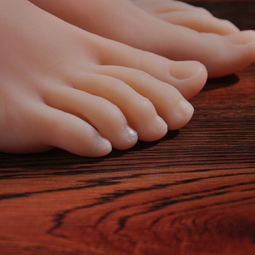 Tienda EE. UU. 23,8 cm Silicona Pies Mujer Maniquí Pies Zapatos Exhibición Modelo Pie Suave - Imagen 11 de 15