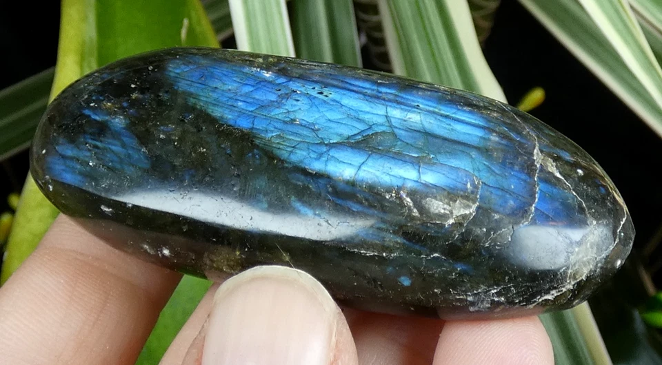 Galet Labradorite bleu & jaune 7x3.5cm Madagascar lithothérapie reiki ancien - Photo 1/4