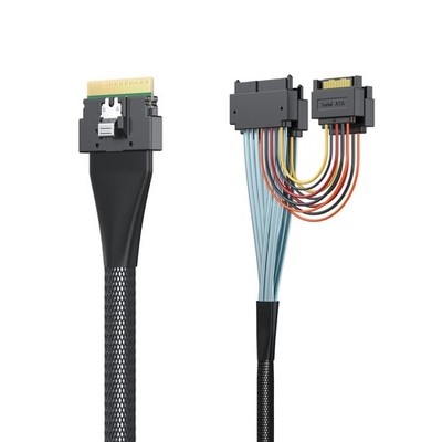SFF-8654 8i to 2x SFF-8639 SlimSAS Adapter Cable PCIe 4.0