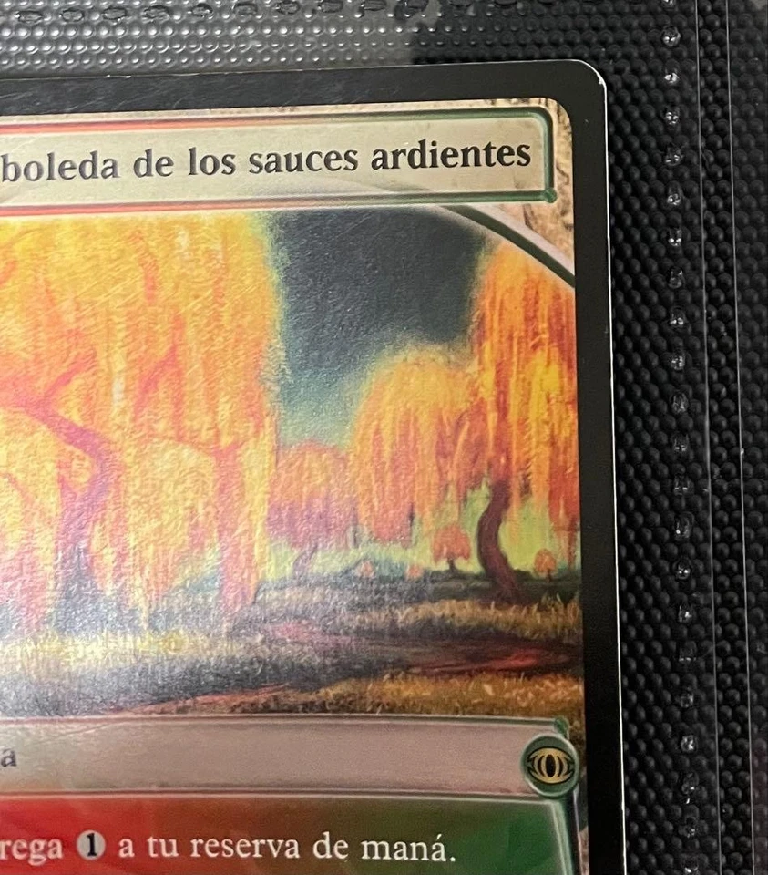 Foil Future Sight Burning Willow Grove Spanish version Used Trading Card - Image 4 of 4