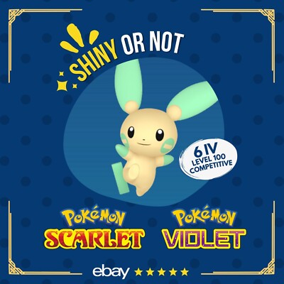 Minun Shiny or Non   6 IV Competitive Customizable Pokémon Scarlet Violet