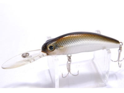 Evergreen CC Predator (verschiedene Farben) - Bild 22 von 22