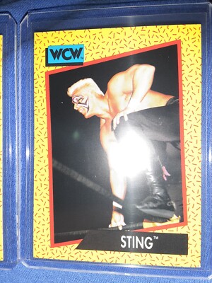 Sting 1991 Impel WCW Wrestling #13  MVP HOF LEGEND SCORPION LOCK
