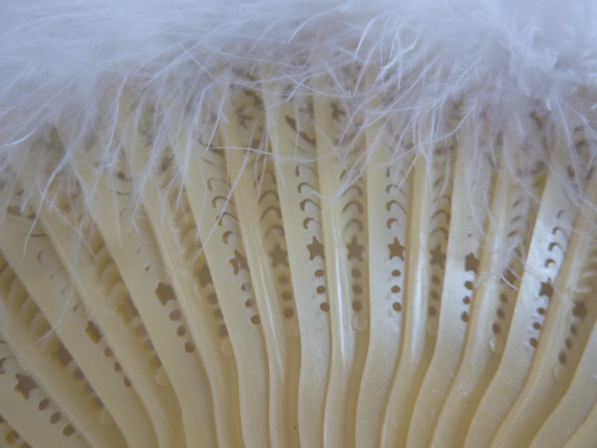 VINTAGE WHITE OSTRICH FEATHER FAN | eBay