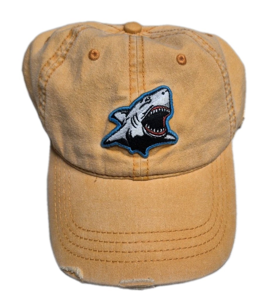 American Eagle Distressed Strapback Baseball Cap … - image 1