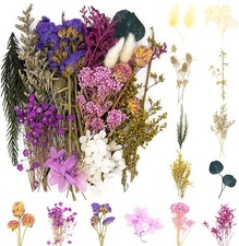 Trockenblumen, mehrere Blumen nat&uuml;rlich, DIY Naturblumen Set lila