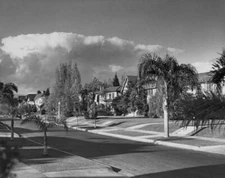 Hollywood Street Scene 1955 Photo - An unspecified palm tree-lined street, typic