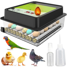 OBI-36 Incubator for Hatching Eggs   36 Eggs, Easy to Use, Stable Temperature 