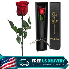 Real Preserved Rose Gift for Women Mom - Forever Love Flower Decor
