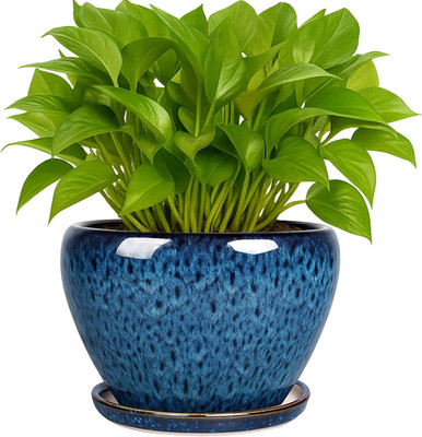 6 Inch Plant Pots- Ceramic Planter Pot with Drainage Hole and Saucer, round Flow